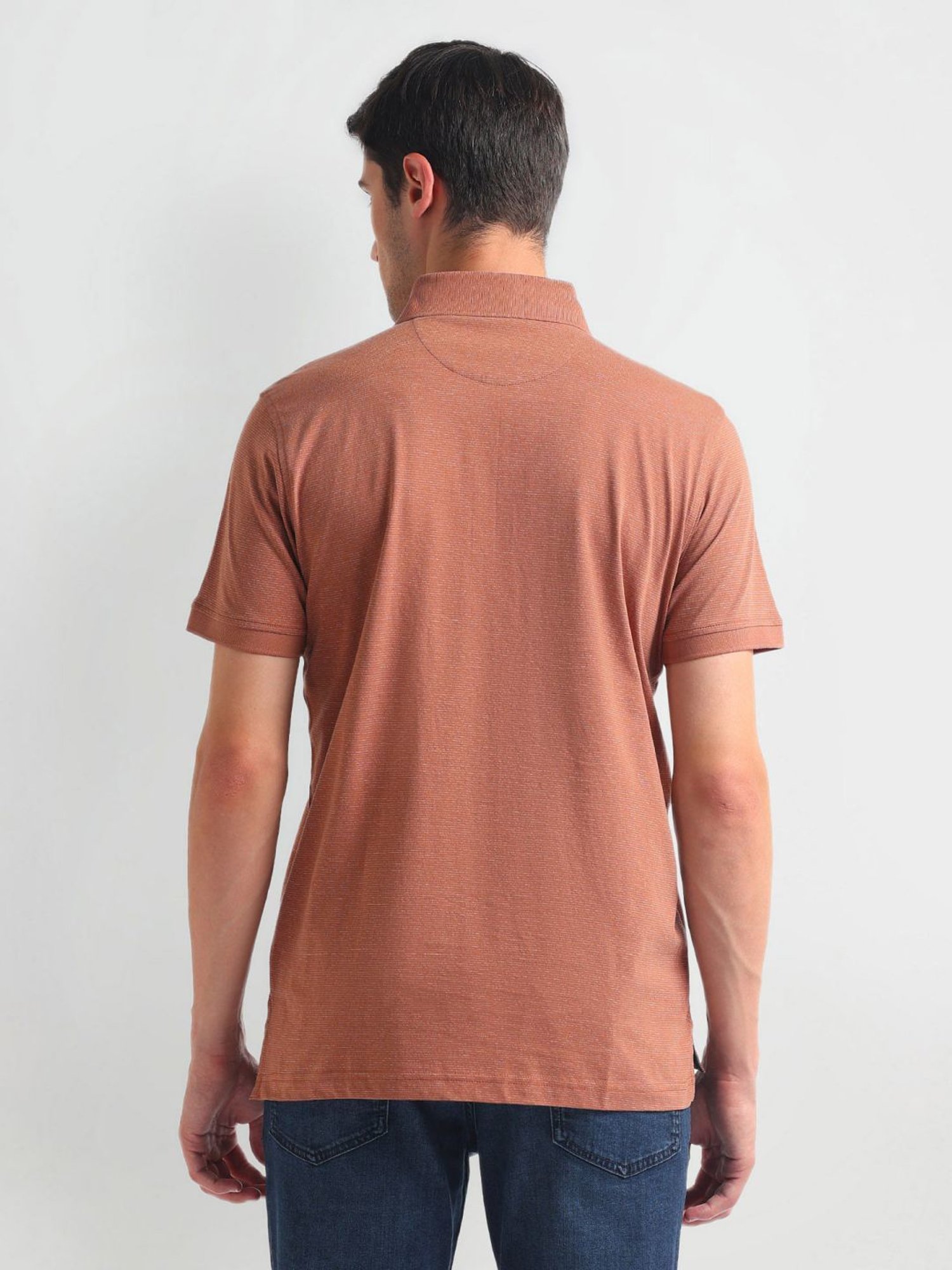 Arrow Brown Cotton Regular Fit Striped Polo T-Shirt