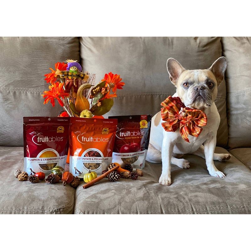 Fruitables Baked Cripsy Bacon and Apple Flavor Healthy Low Calorie Dog Treats - 7oz