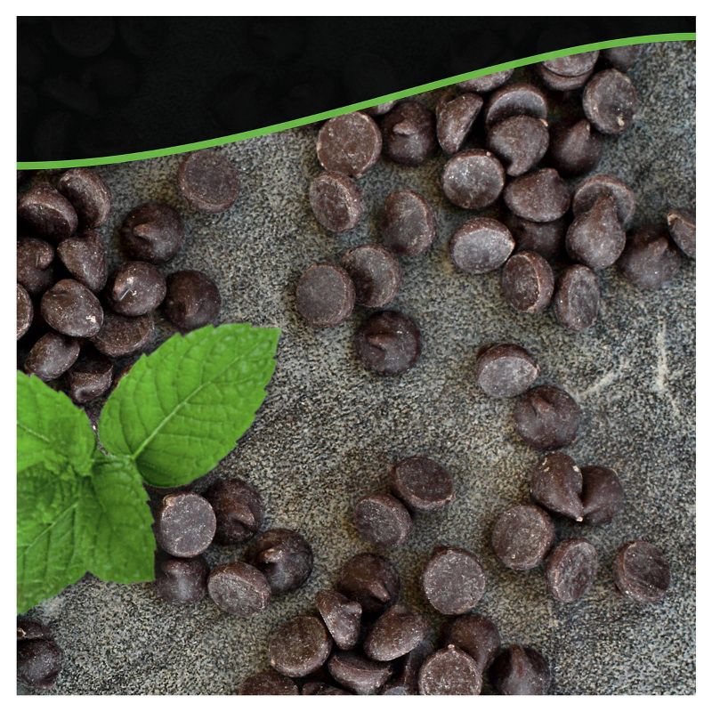 Breyers Mint Chocolate Chip Ice Cream - 48oz