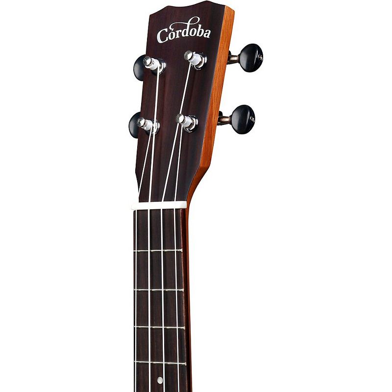 Cordoba 25T-CE Tenor Ukulele Natural