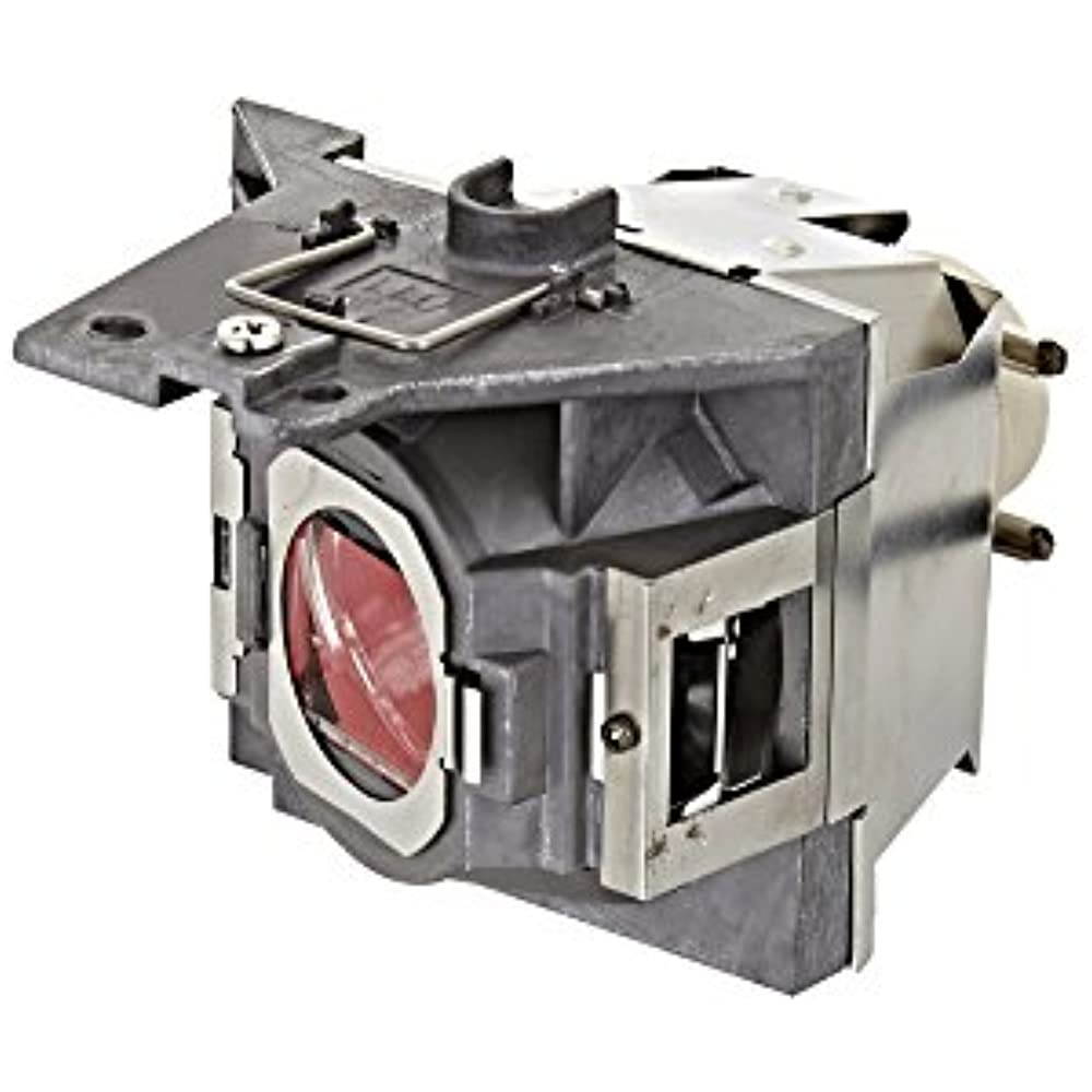 Viewsonic RLC-105  Genuine Compatible Replacement Projector Lamp . Includes New P-VIP 240W Bulb and Housing