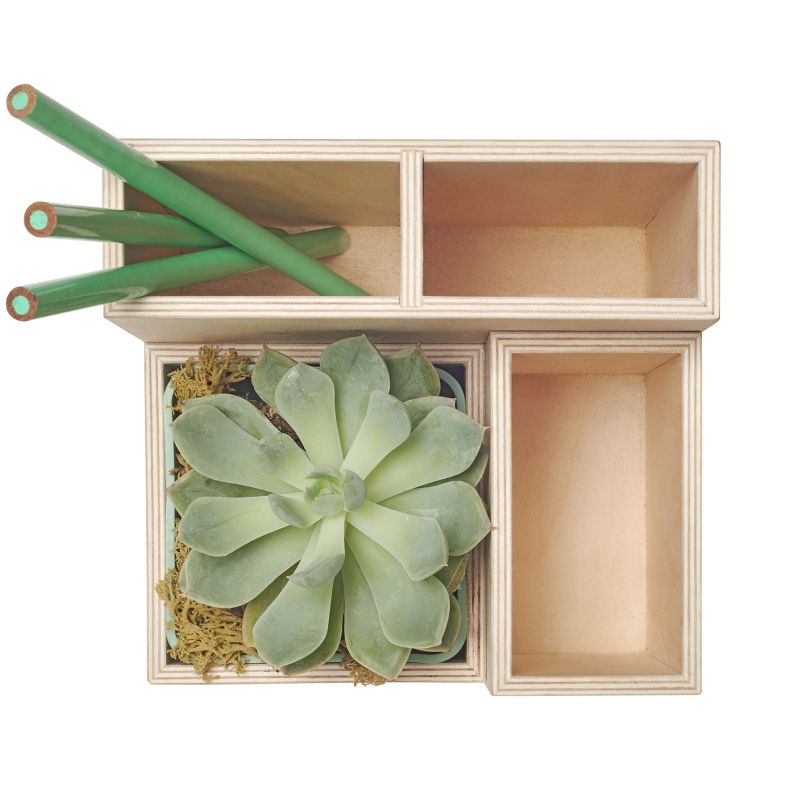 Design Ideas Terrace Desk Supplies Organizer - Plywood Office Desktop Organizer - Wood, 5.5" x 5.1 x 4.9"