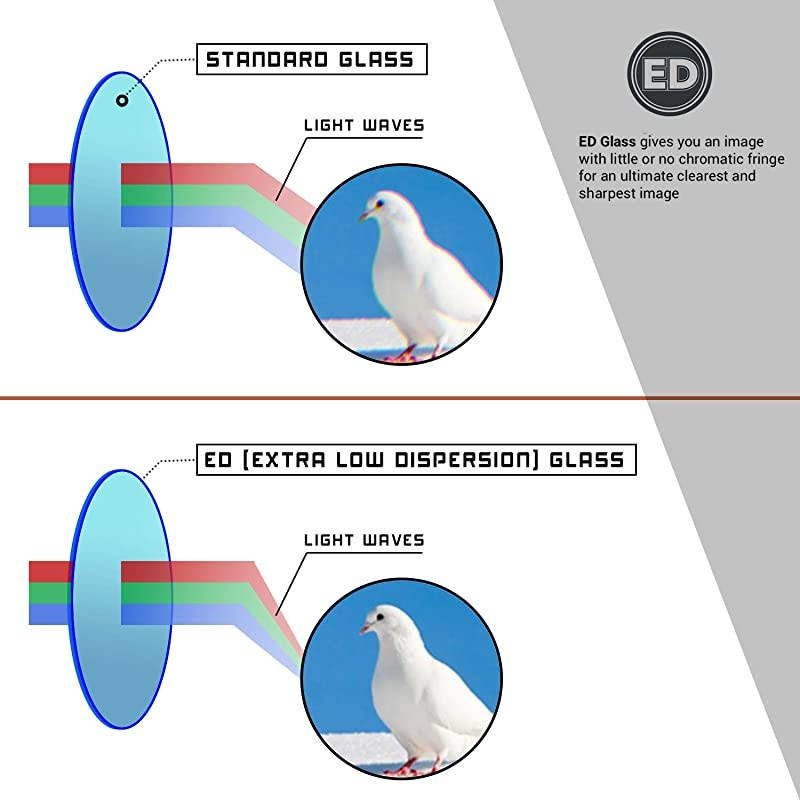 Midas Roof Prism UHD Binoculars
