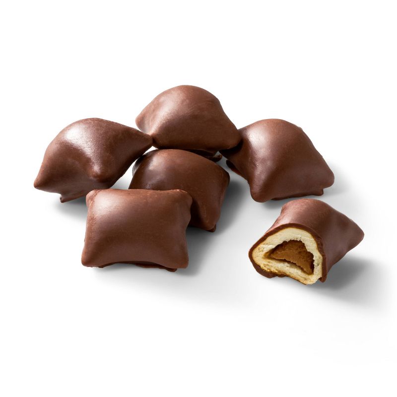 Milk Chocolate-Covered Peanut Butter Pretzel Nuggets - 9oz - Favorite Day™