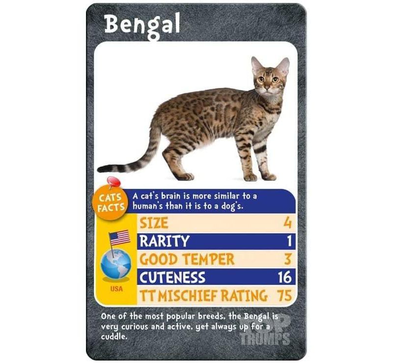 Top Trumps Cats Top Trumps Card Game