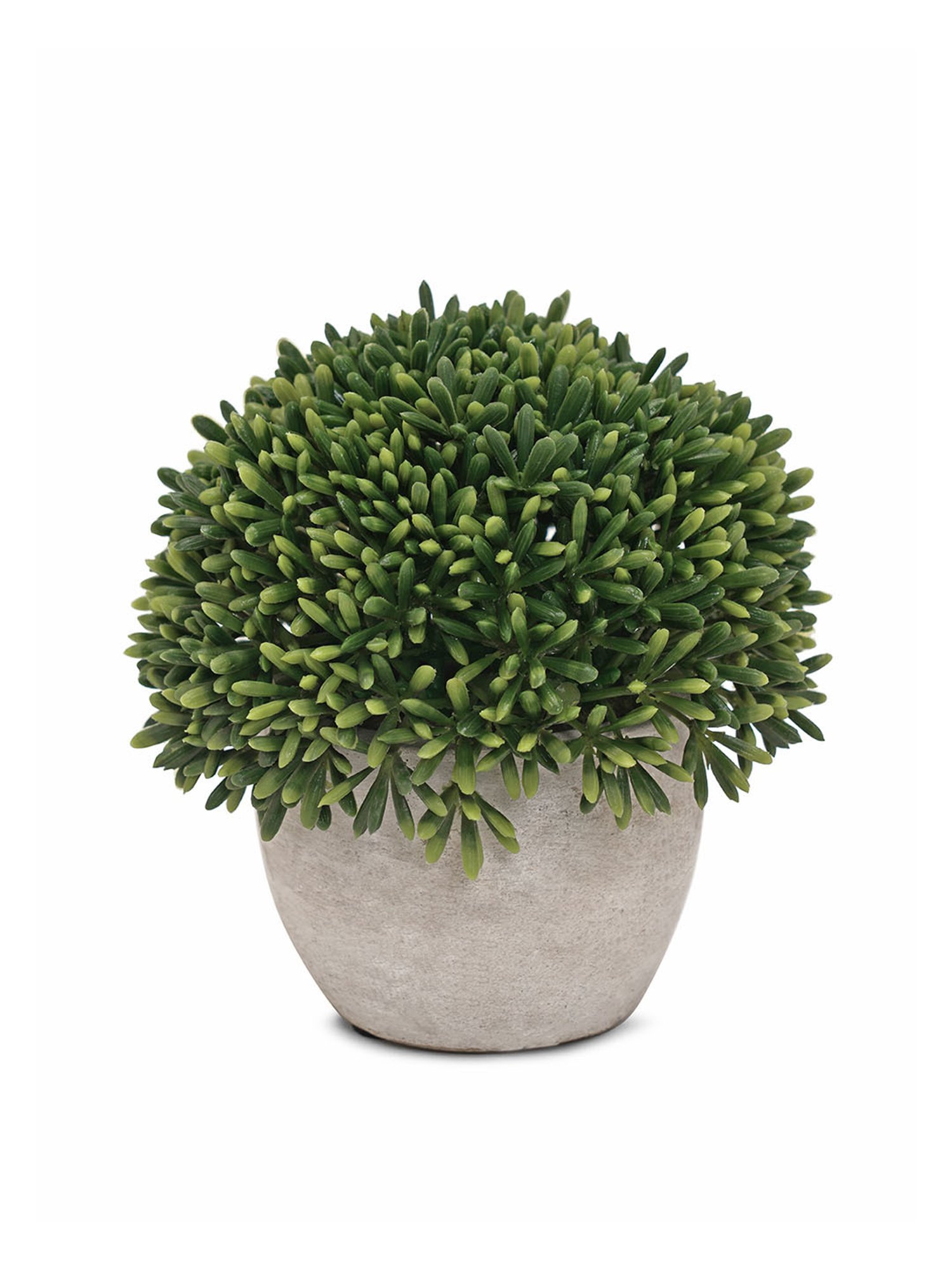 Pure Home and Living Green Plastic Potted Plants