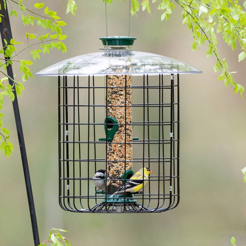 Droll Yankees Sunflower Squirrel Proof Domed Cage Bird Feeder - Green