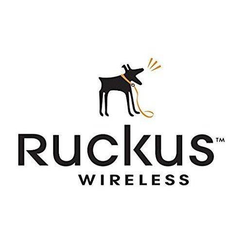 Ruckus Wireless US Power Adapter for ZF R710 Qty 1-902-1169-US00