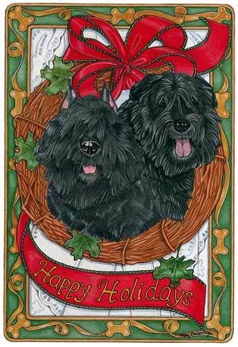 Bouvier Des Flandres Christmas Cards : 10 Holiday Cards with Red Envelopes - ADORABLE!