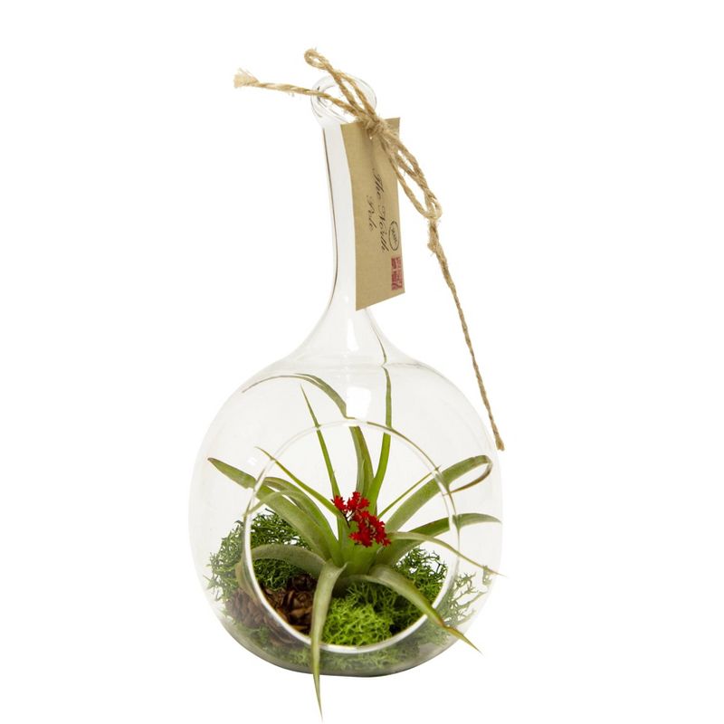 LiveTrends Letter to Santa