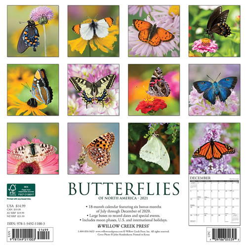2021 Butterflies Wall