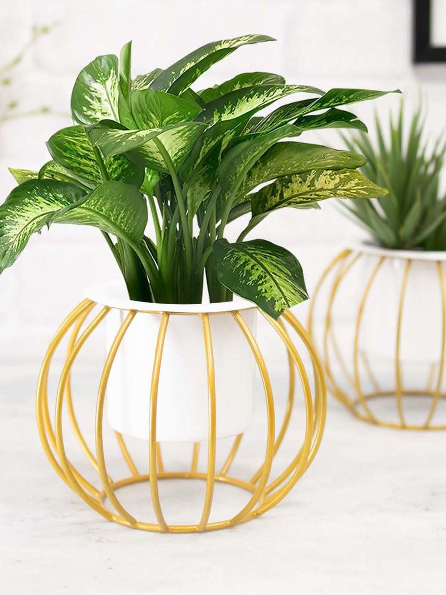 Homesake Gold & White Metal Planters Top Designer Metallic Combo Stand - Set of 2