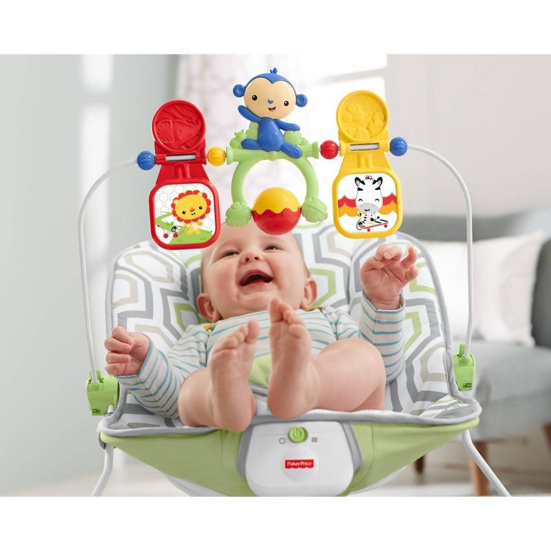 ​Fisher-Price Baby Bouncer