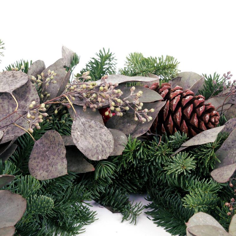 24" Live Fresh Cut Pacific Northwest Eucalyptus and Berry Wreath -  Van Zyverden