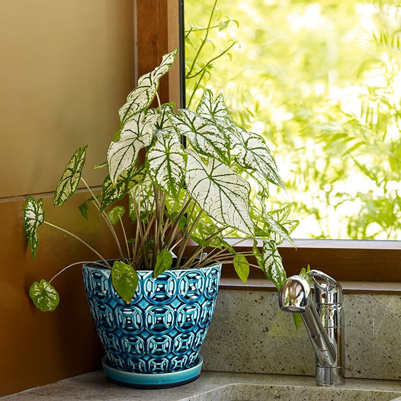 Southern Patio 12 Inch Ceramic Clay Mayer Flower Planter & Saucer Tray, Seafoam