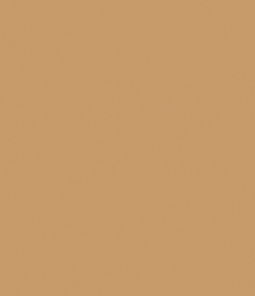 Giorgio Armani ARMANI beauty Luminous Silk Foundation