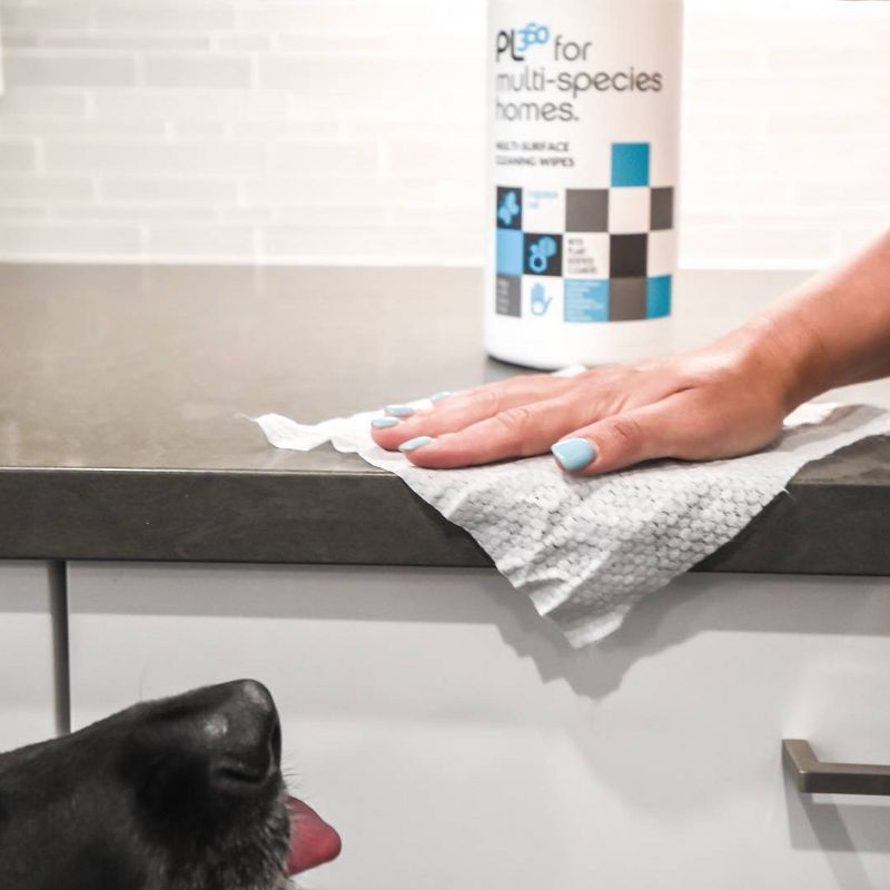 PL360 Multi-Surface Cleaning Dog Wipes - 75ct
