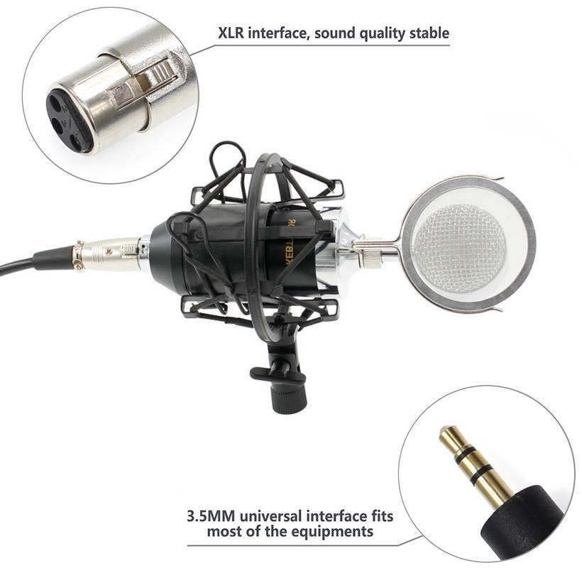 BM 8000 Professional Condenser Microphone bm8000 Audio Studio Vocal recording for Computer karaoke