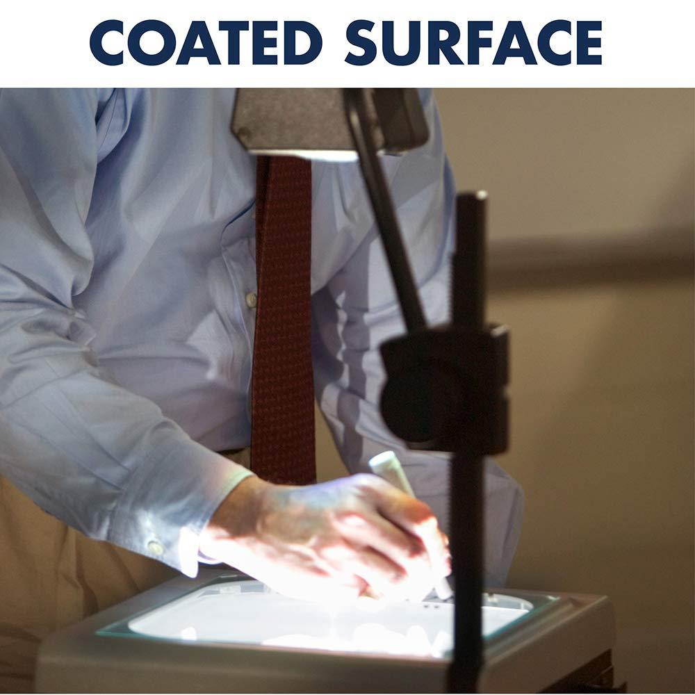 Apollo Transparency Film for Plain Paper Copier, Black on Clear Sheet, without Stripe, 100 Sheets/Pack (VPP100CE)