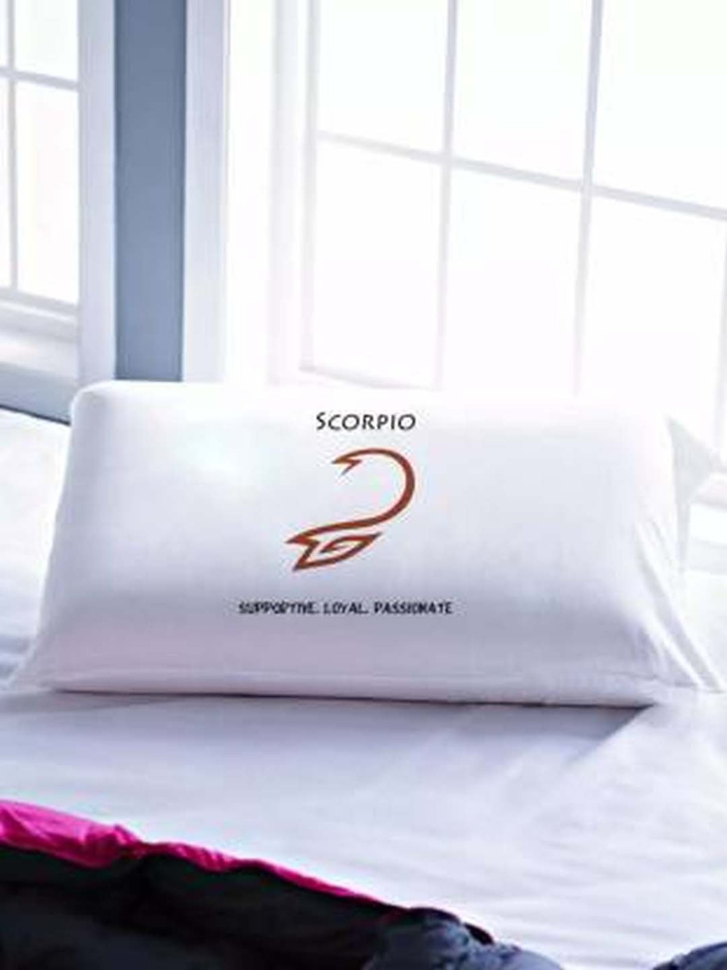 Stoa Paris White & Brown Cotton 200 TC Pillow Cover - Set of 1