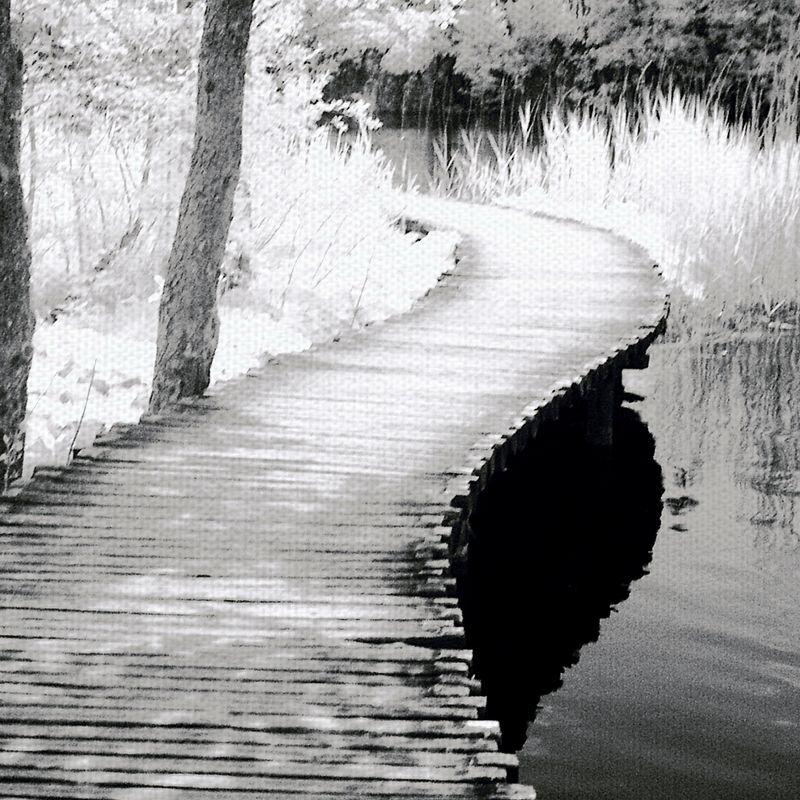 24"x36" Take A Walk By Ilona Wellman Art On Canvas Black - Fine Art Canvas