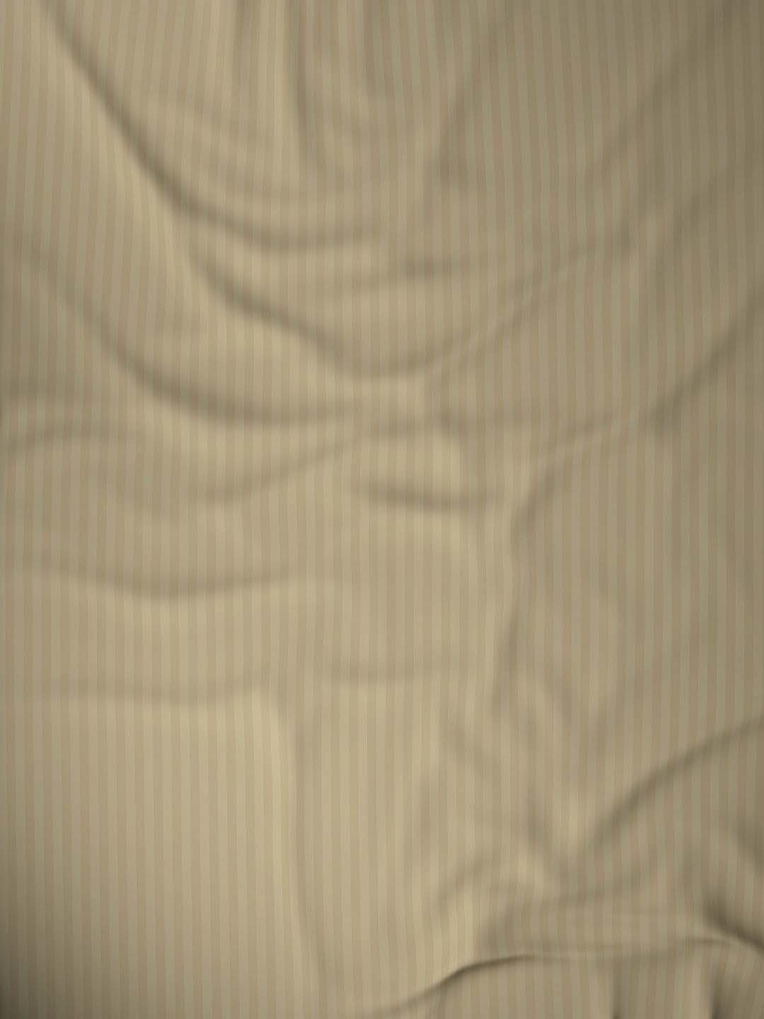 Dreamscape Khaki Cotton 220 TC Bed Sheet Set