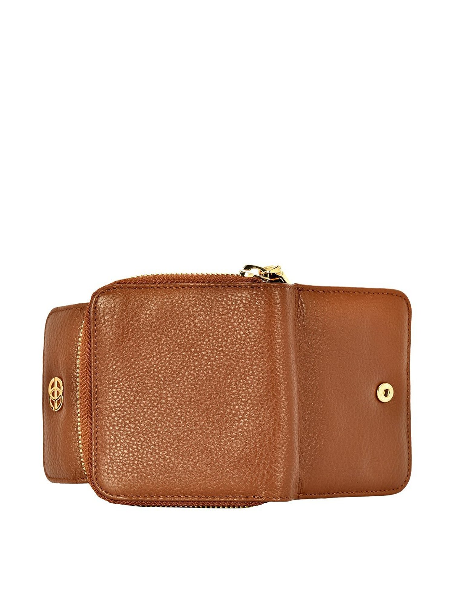 Eske Isa Brown Solid Zip Around Wallet for Women