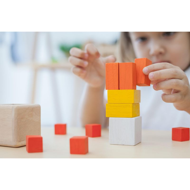 PlanToys FRACTION CUBES