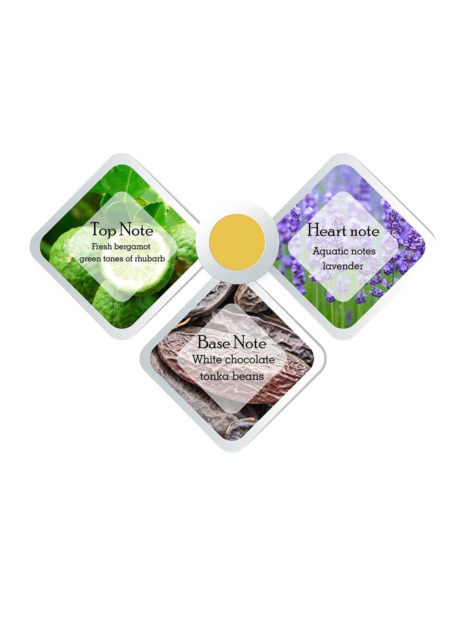 Playboy VIP Shower Gel and Shampoo for Men - Pack of 2