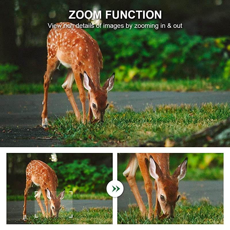 20MP Wildlife Trail Camera with 32GB Card Included Game Camera