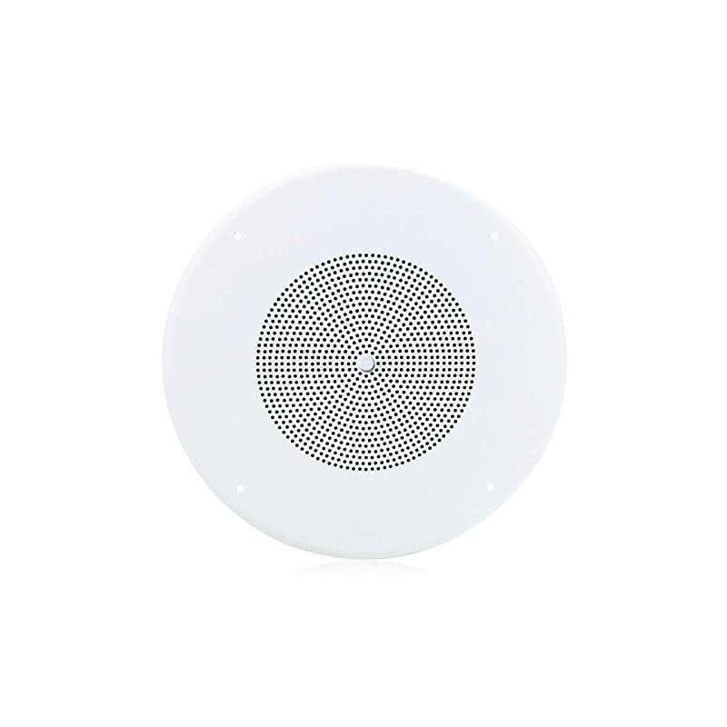 8" 10W Ceiling Speaker