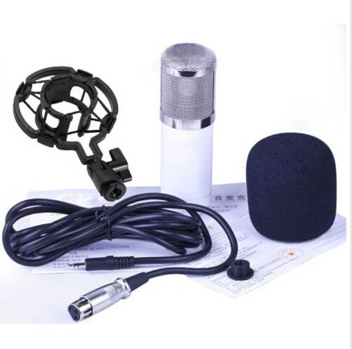 Professional Condenser Cardioid Recording Microphone 4 Broadcast Studio Computer