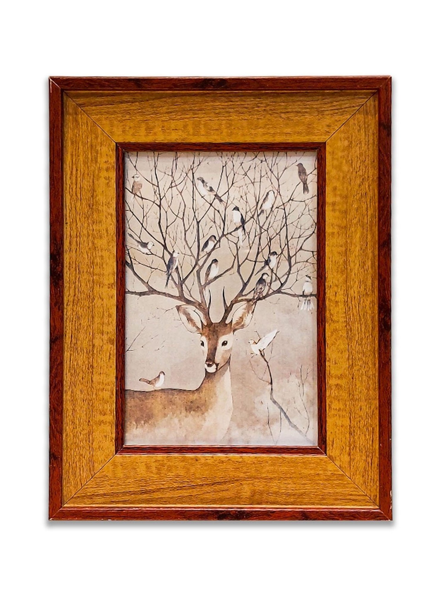 House This Kangto Brown & White Wood Photo Frame Gift Set