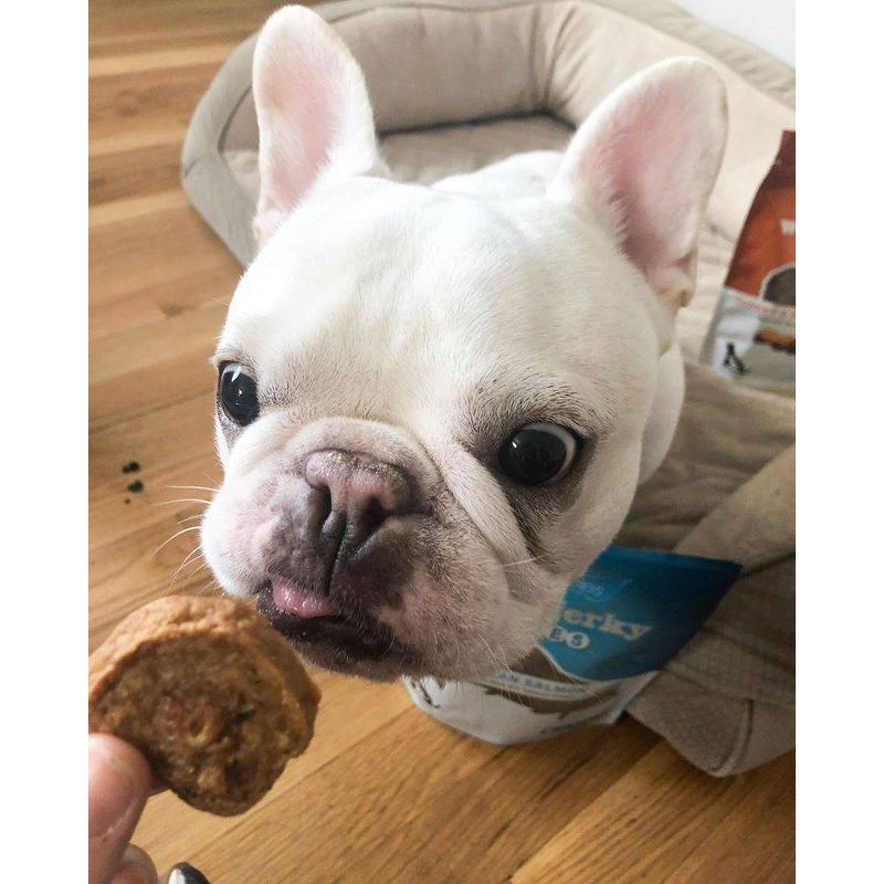 Fruitables Whole Jerky Bites Alaskan Salmon and Pear Jerky Dog Treats - 5oz