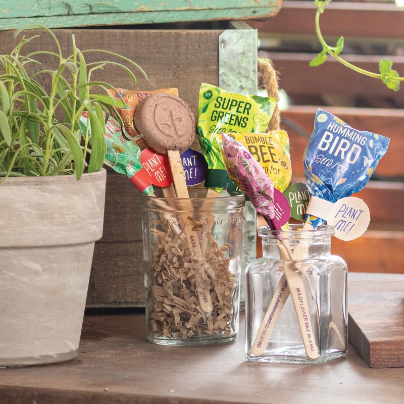 Modern Sprout Culinary Seed Pop - 10 pk