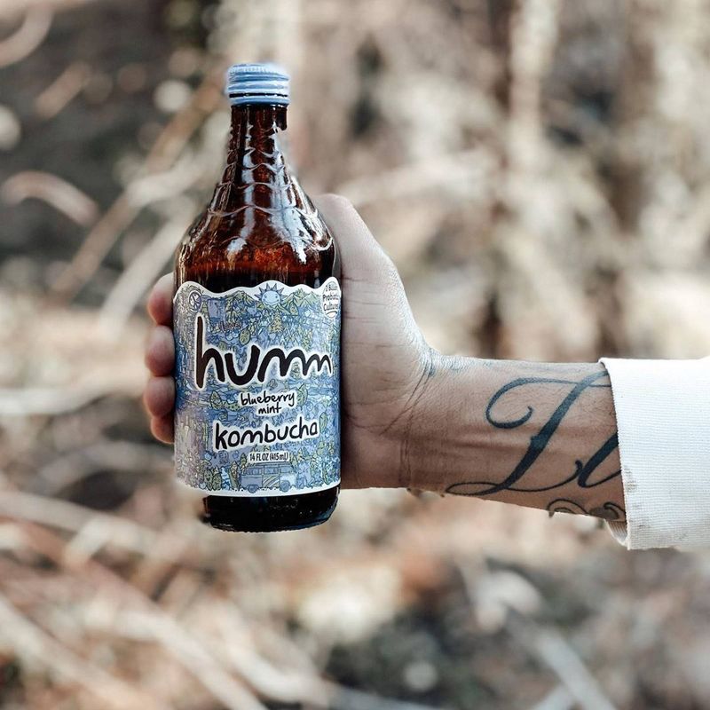 Humm Blueberry Mint Kombucha 14oz