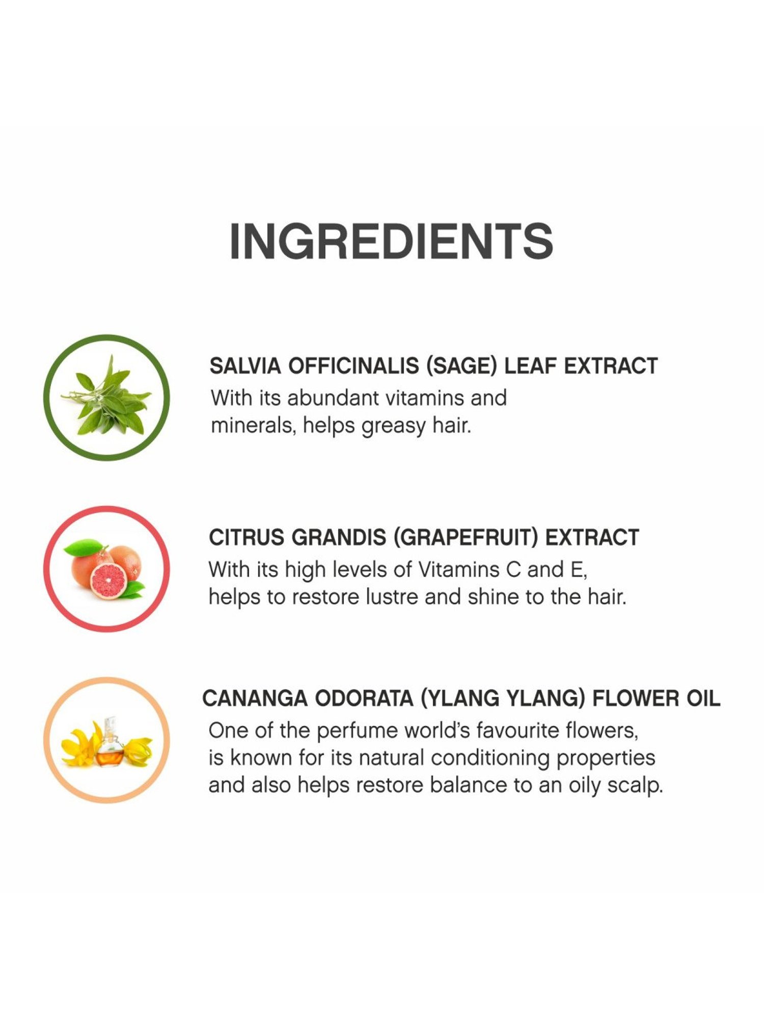 KEVIN MURPHY BALANCING.WASH 40 ML