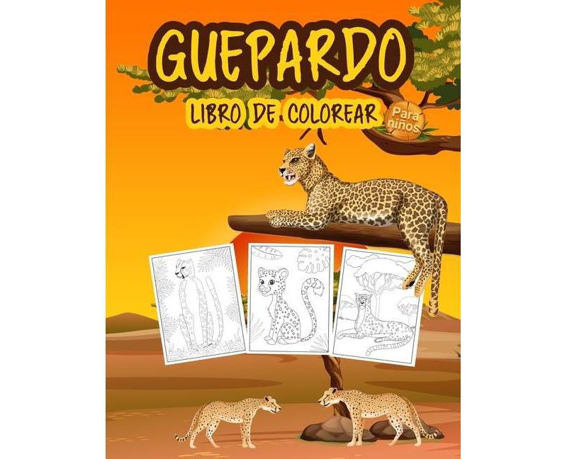 Unofficial Amazing Activities for Harry Potter Fans - by  Brian Boone (Paperback)