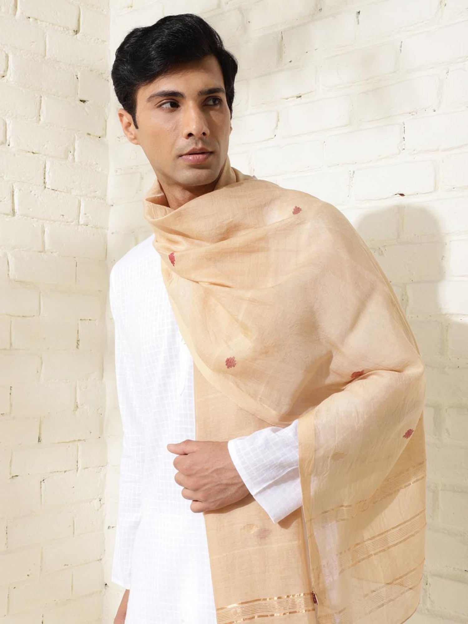 Fabindia Beige Cotton Silk Woven Stole