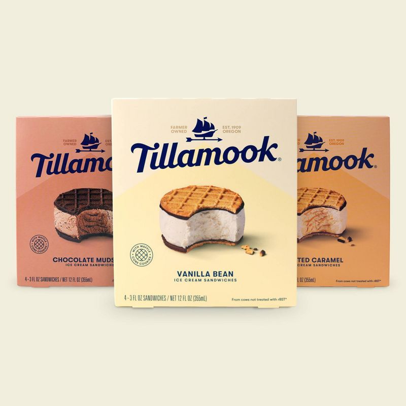 Tillamook Salted Caramel Ice Cream Sandwich - 12oz/4ct