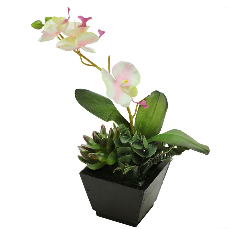Northlight 13" Orchid with Succulent Artificial Potted Plant - White