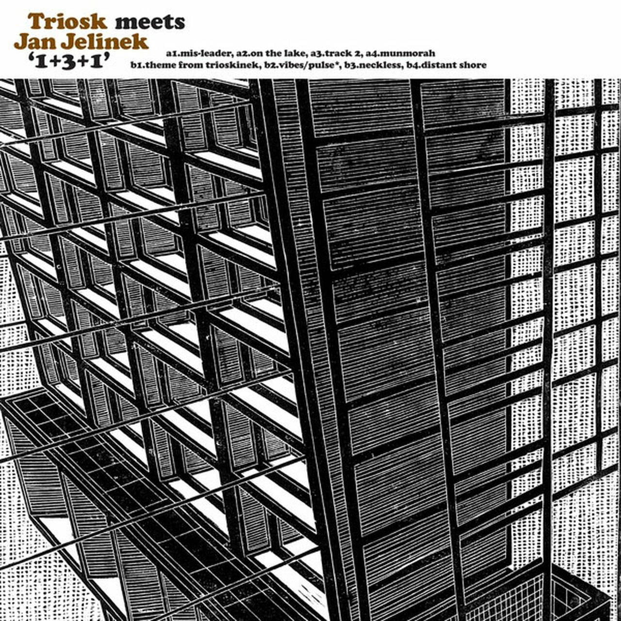 Triosk Meets Jan Jelinek 1+3+1 Import LP (Vinyl)
