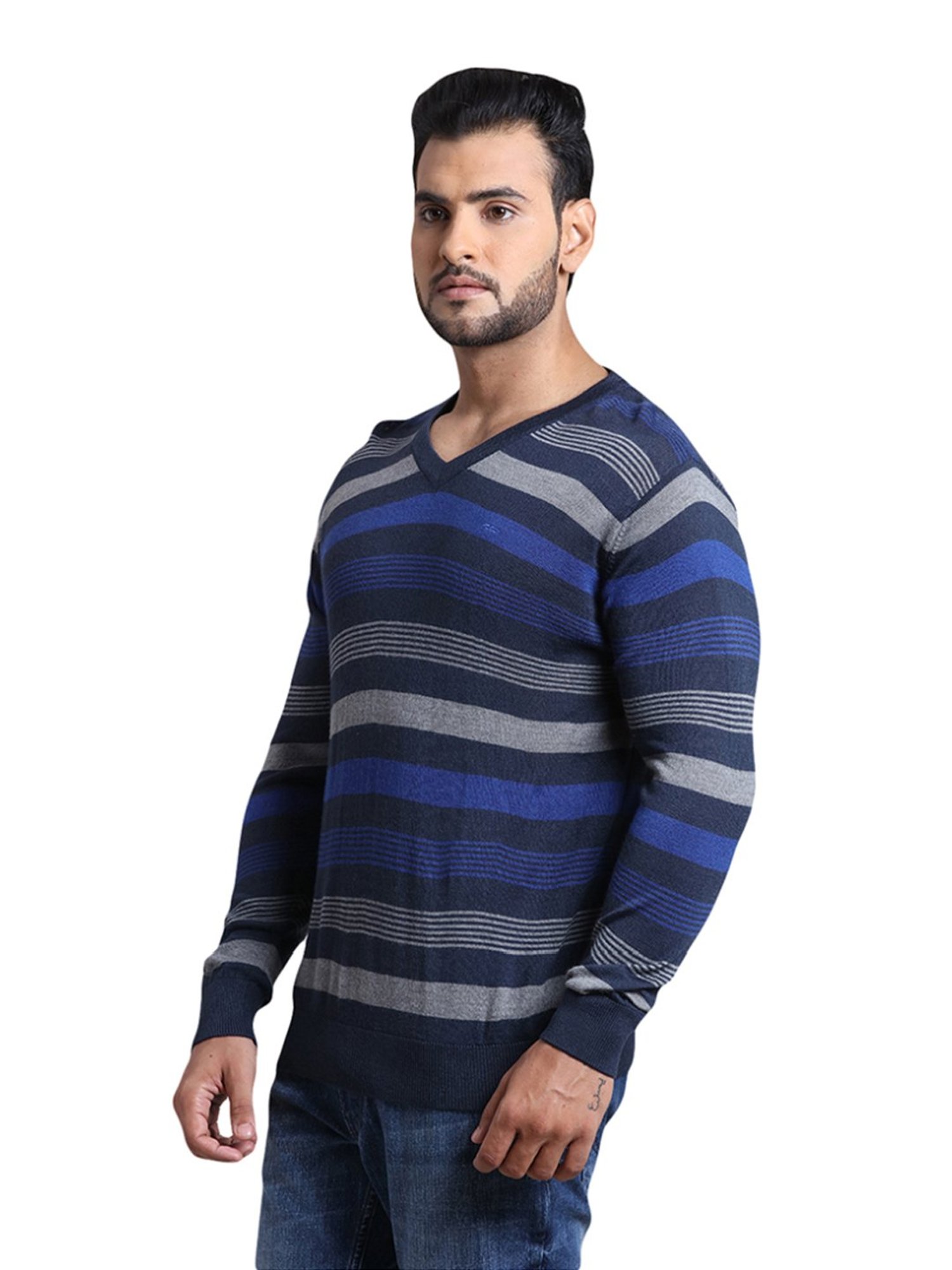 ColorPlus Blue Tailored Fit Striped Sweater