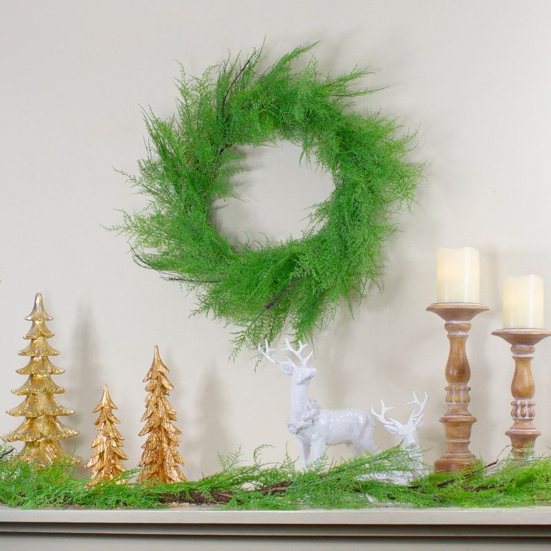 Northlight Brown and Green Cedar Christmas Wreath - 24-Inch, Unlit
