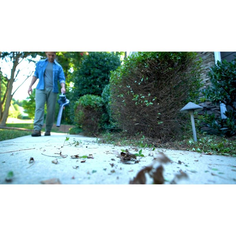 Blue Ridge 12.0A Blower/Vac