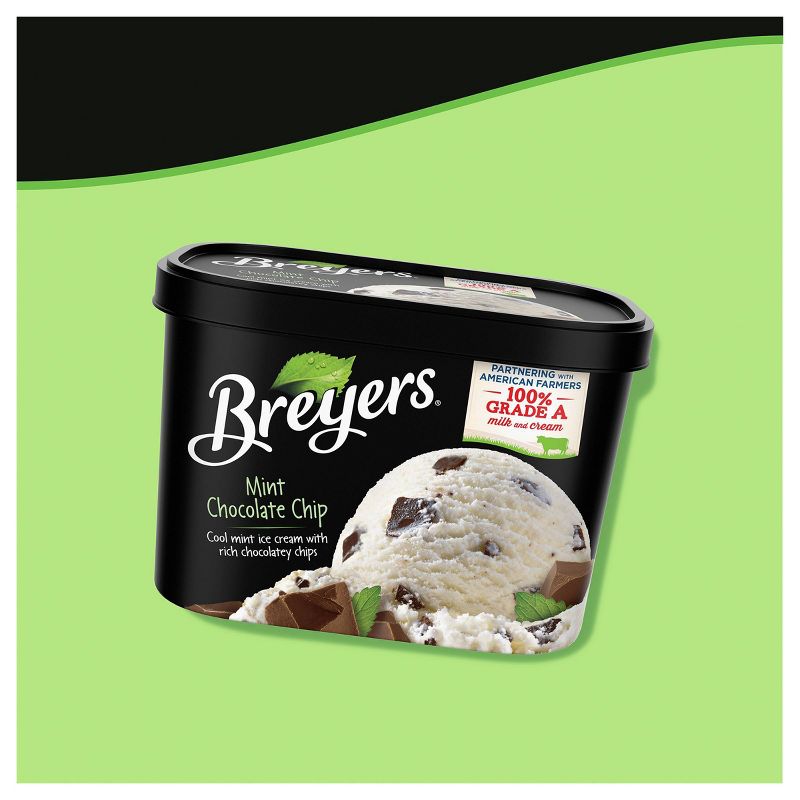 Breyers Mint Chocolate Chip Ice Cream - 48oz
