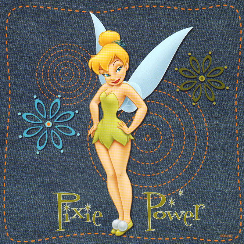 Tinkerbell Denim Self-Stick 37pc Wall Sticker Accent Kit - Disney Princess..