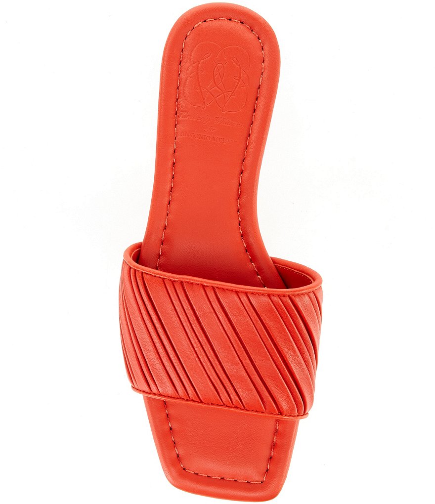 Antonio Melani x Kimberly Whitman Magnolia Pleated Leather Dress Flats