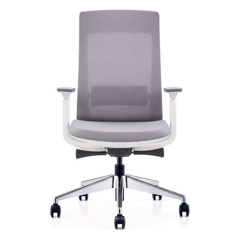 Eurotech Elevate Ergonomic Executive Adjustable Office Desk Chair with Synchro-Tilt, Tilt Lock, and Adjustable Seat and Arms, White Frame Gray Mesh