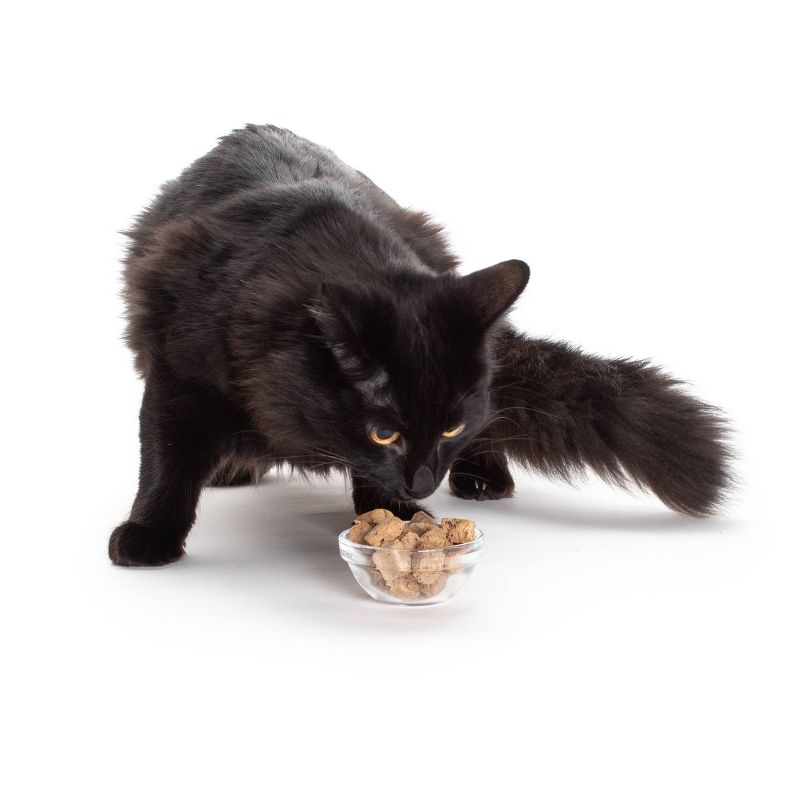 Hauspanther Freeze Dried Chicken Liver Cat Treats - 1.5oz